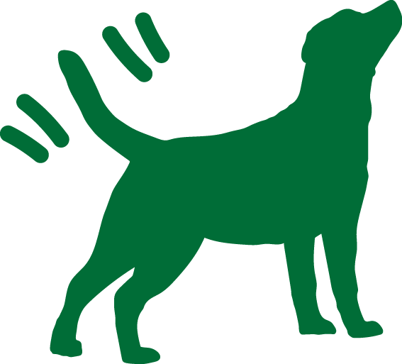 Dog wag